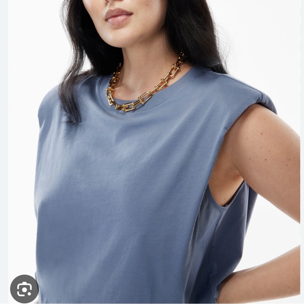 Aritzia Babaton Should Pad Crop T Shirt